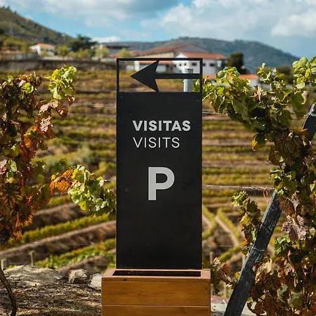 Quinta Sao Luiz The Vine House Douro
