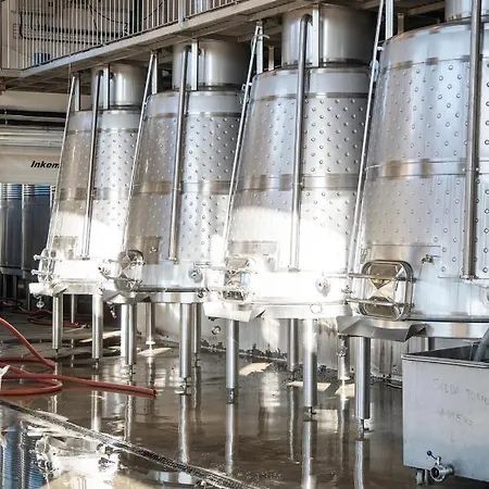 Quinta Sao Luiz The Vine House Douro בית כפרי טבואקו