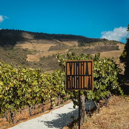 Landsted Quinta Sao Luiz The Vine House Douro