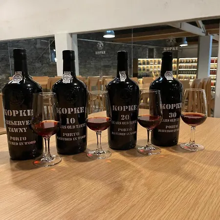 乡村民宿 Quinta Sao Luiz The Vine House Douro