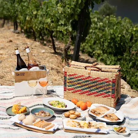 Quinta Sao Luiz The Vine House Douro 컨트리하우스