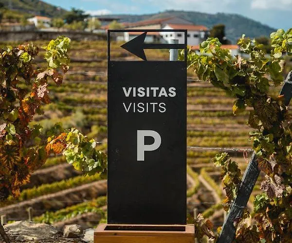 Quinta Sao Luiz The Vine House Douro