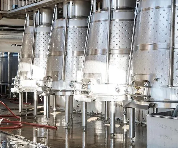 Quinta Sao Luiz The Vine House Douro Casa rural Tabuaço