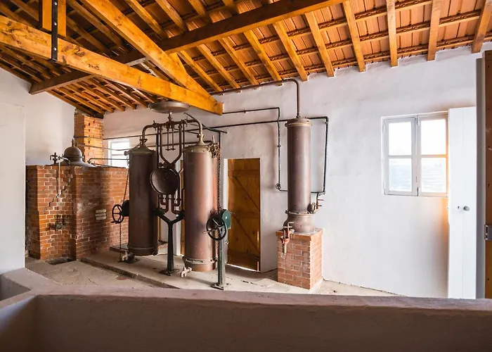 Quinta Sao Luiz The Vine House Douro