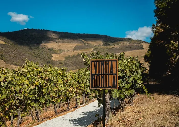 Casa di campagna Quinta Sao Luiz The Vine House Douro