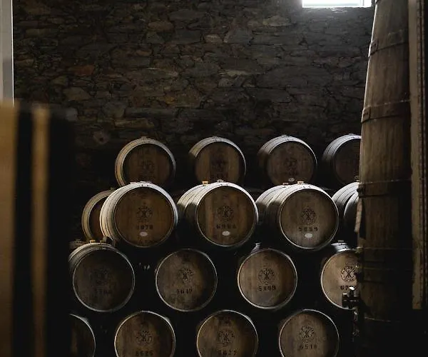 Quinta Sao Luiz The Vine House Douro Tabuaço