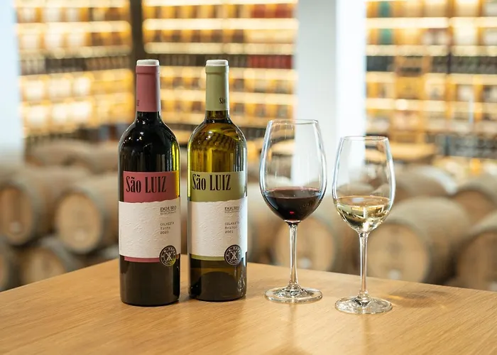 Quinta Sao Luiz The Vine House Douro Tabuaço