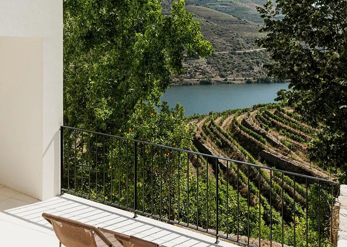 Quinta Sao Luiz The Vine House Douro Gospodarstwo wiejskie