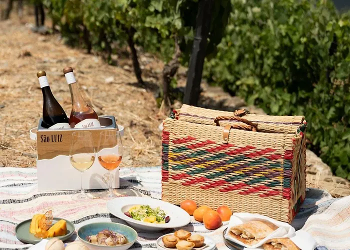 Quinta Sao Luiz The Vine House Douro Landsted